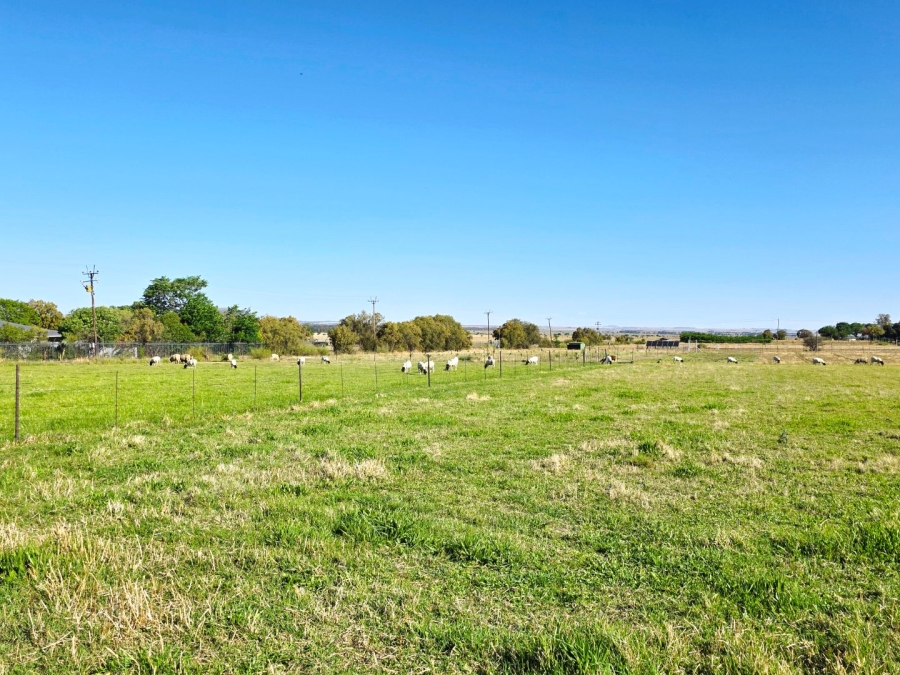 Commercial Property for Sale in Kellys View Free State